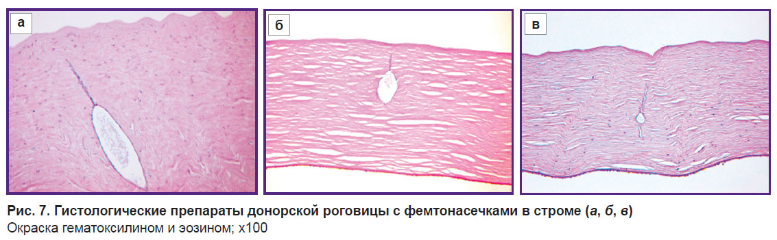 komarova-ris-7.jpg