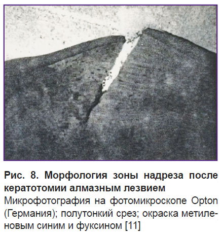 komarova-ris-8.jpg