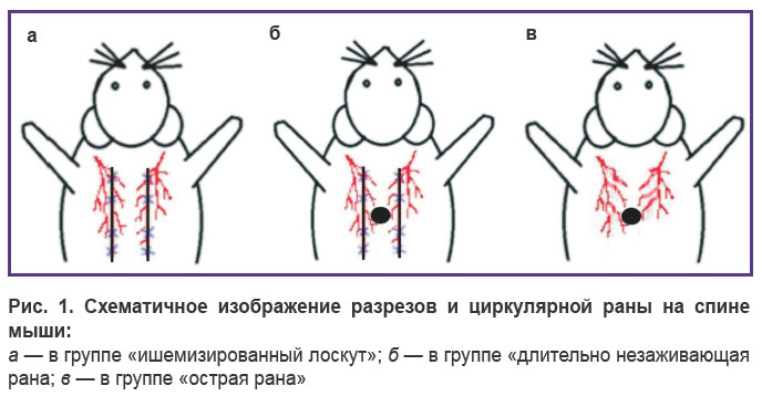 morgun-ris-1.jpg