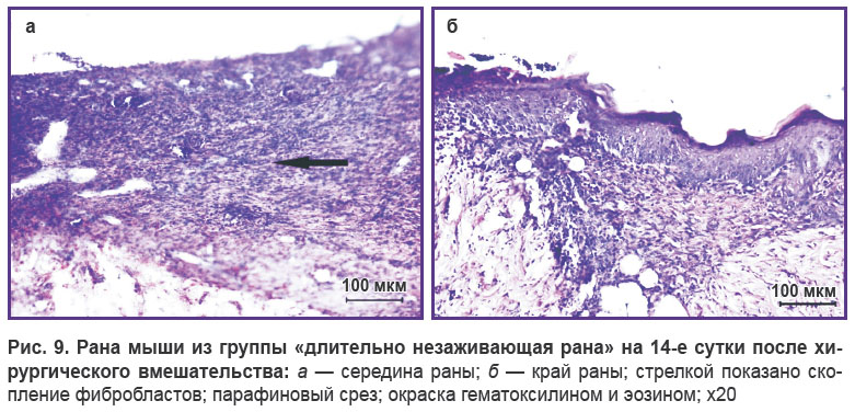 morgun-ris-9.jpg