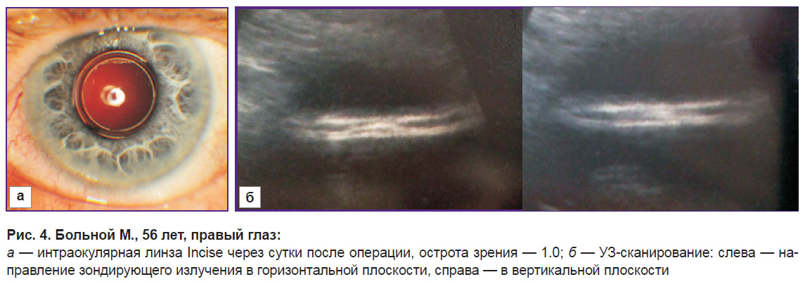 vasilyeva-ris-4.jpg