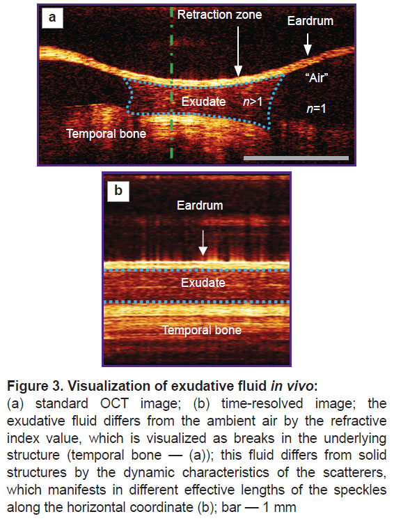 shilyagin-fig-3.jpg