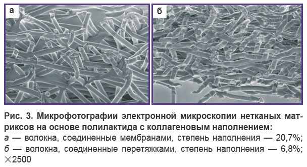 kuevda-ris-3.jpg