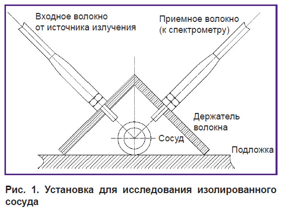 vasilev-ris-1.jpg