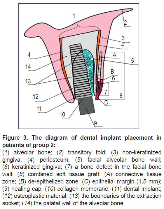 dyakova-fig-3.jpg