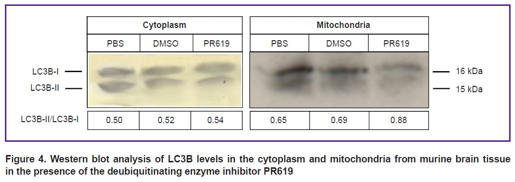 kovaleva-fig-4.jpg