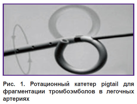 homanko-ris-1.jpg