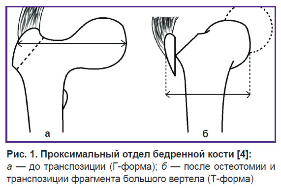 avdeev-ris-1.jpg