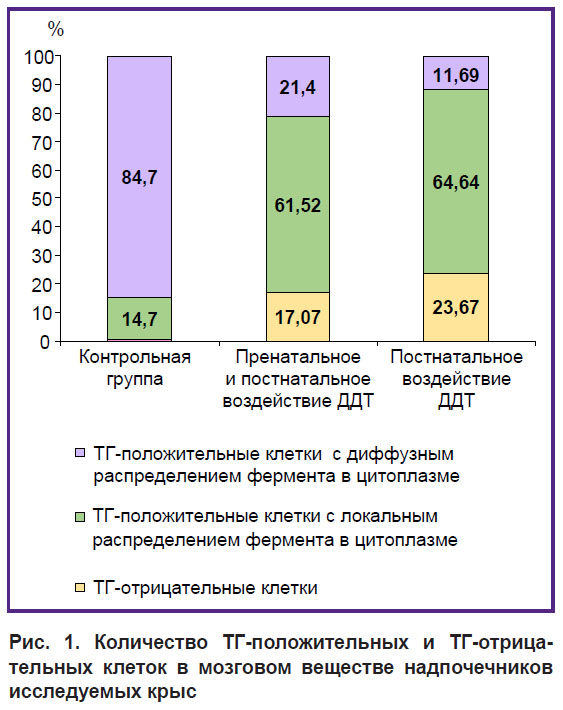 timokhina-ris-1.jpg