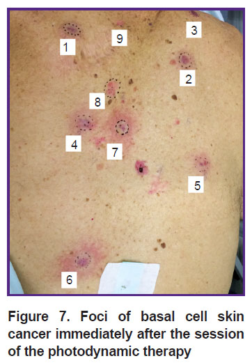 malygina-fig-7.jpg