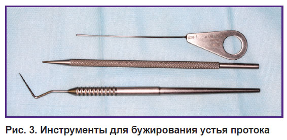 bannikova-ris-3.jpg