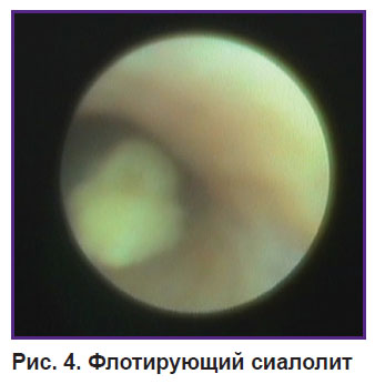 bannikova-ris-4.jpg