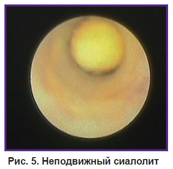 bannikova-ris-5.jpg