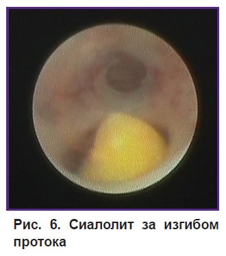 bannikova-ris-6.jpg