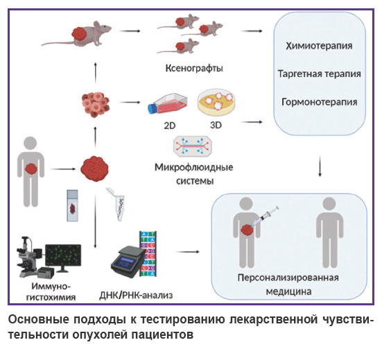 druzhkova-ris.jpg