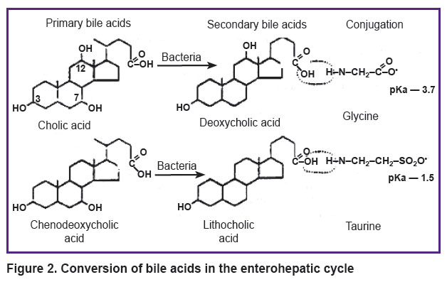 zagoskin-fig-2.jpg