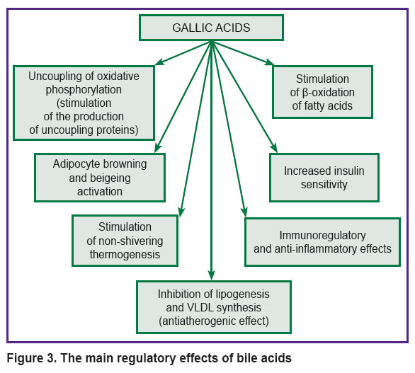 zagoskin-fig-3.jpg