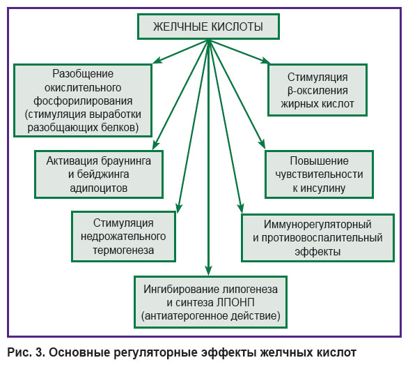 zagoskin-ris-3.jpg