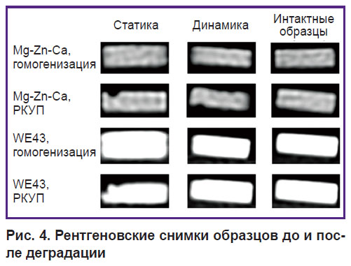 martynenko-ris-4.jpg