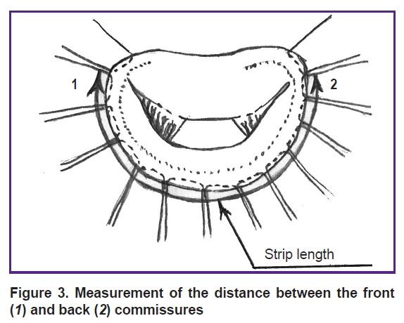 vaykin-fig-3.jpg