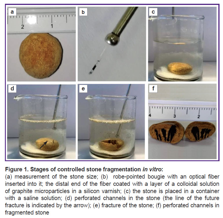 streltsova-fig-1.jpg