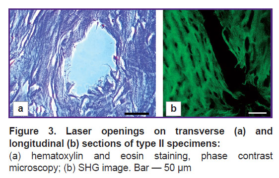 ignatieva-fig-3.jpg