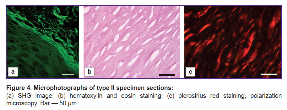 ignatieva-fig-4.jpg