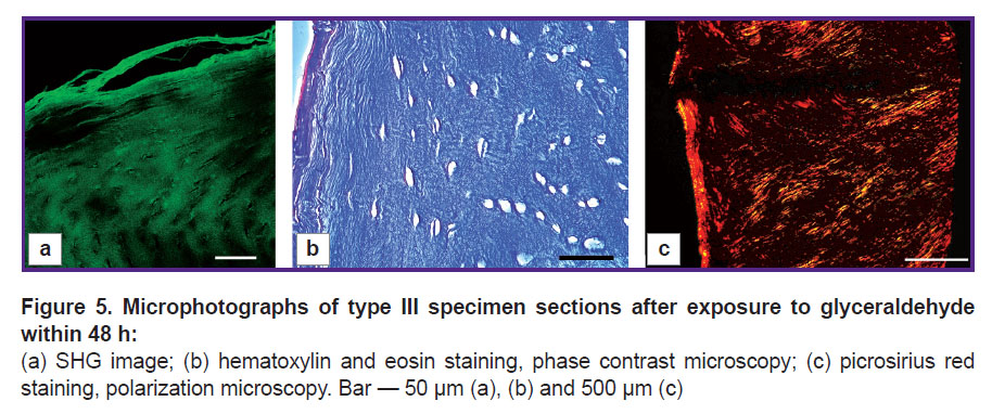 ignatieva-fig-5.jpg