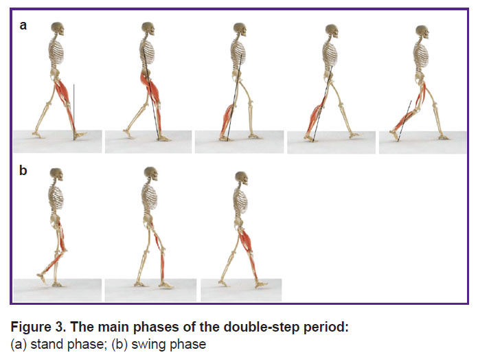 eliseev-fig-3.jpg
