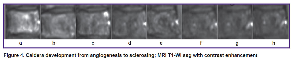 sergeev-fig-4.jpg