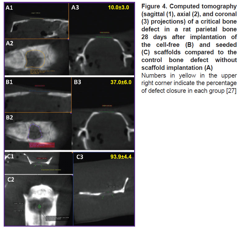 bonartsev-fig-4.jpg