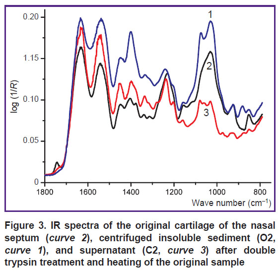 ignatieva-fig-3.jpg