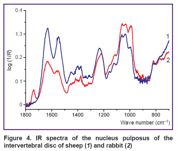 ignatieva-fig-4.jpg