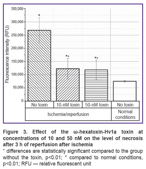 iurova-fig-3.jpg