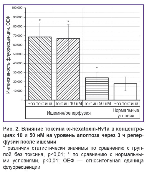 iurova-ris-2.jpg