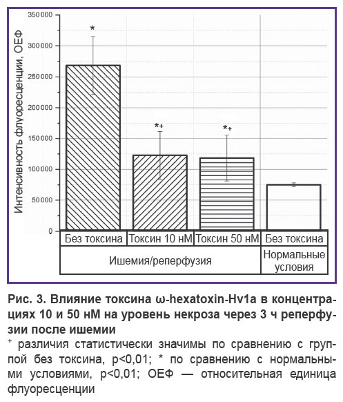 iurova-ris-3.jpg