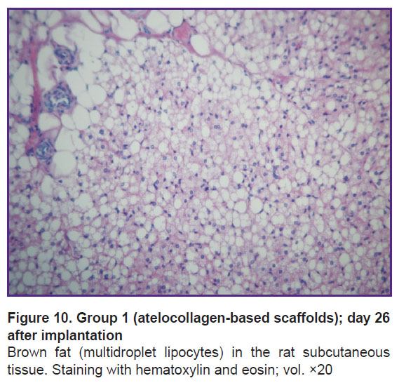 isaeva-fig-10.jpg