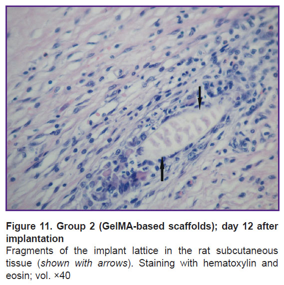isaeva-fig-11.jpg