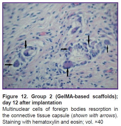 isaeva-fig-12.jpg