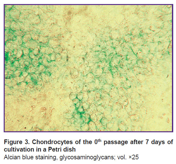 isaeva-fig-3.jpg