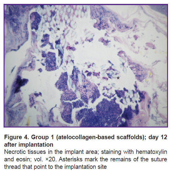 isaeva-fig-4.jpg