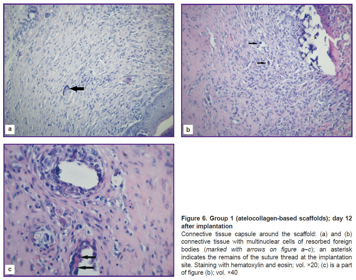 isaeva-fig-6.jpg