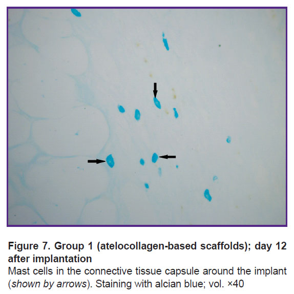 isaeva-fig-7.jpg