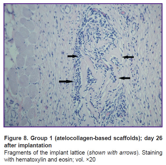 isaeva-fig-8.jpg