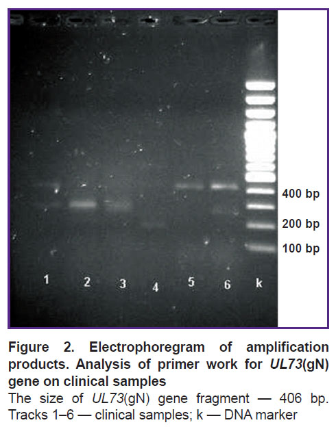 vankova-fig-2.jpg