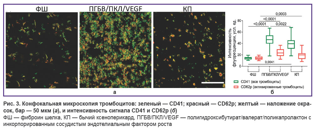 prokudina-ris-3.jpg