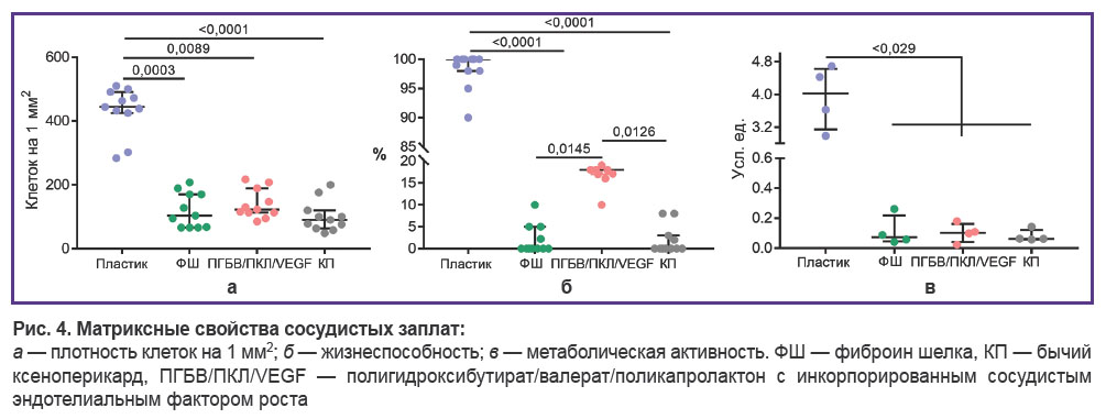 prokudina-ris-4.jpg
