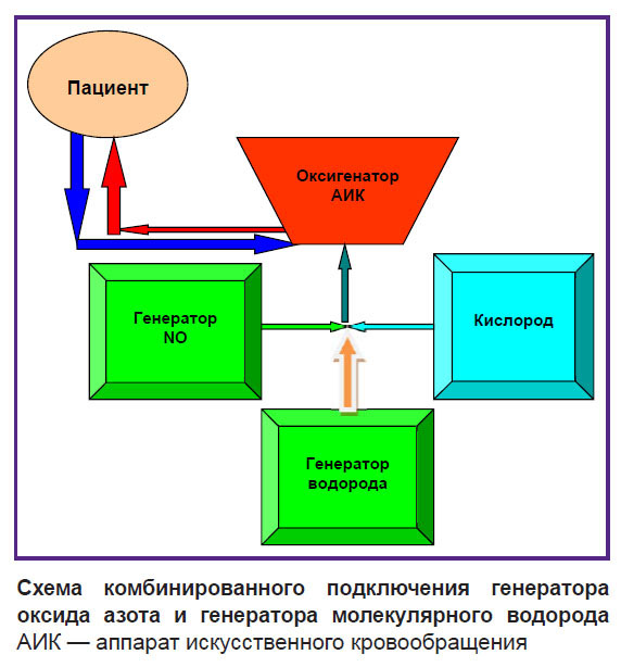 pichugin-ris.jpg