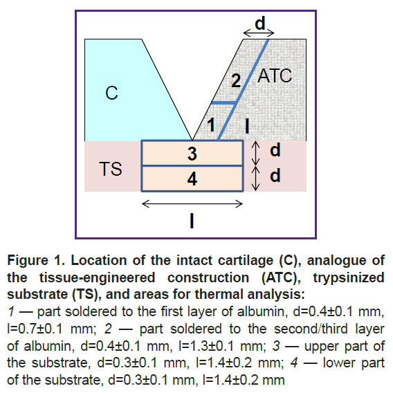 ignatieva-fig-1.jpg