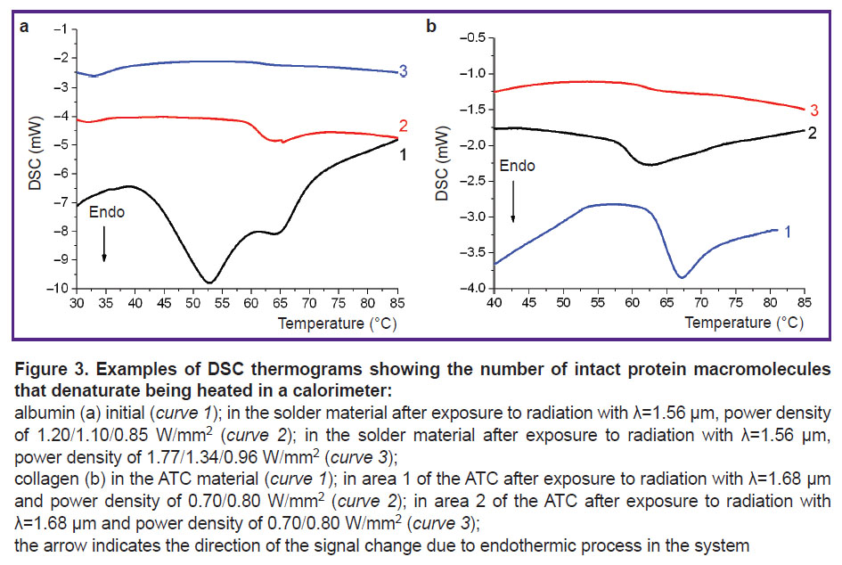ignatieva-fig-3.jpg